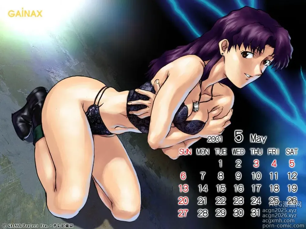 Page 11 of imageset Neon Genesis Evangelion Nousatsu Calendar 2001 & 2002