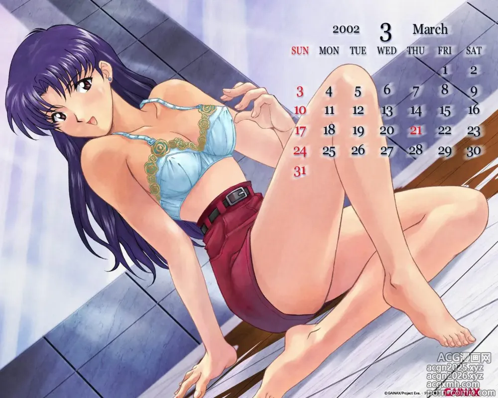 Page 27 of imageset Neon Genesis Evangelion Nousatsu Calendar 2001 & 2002