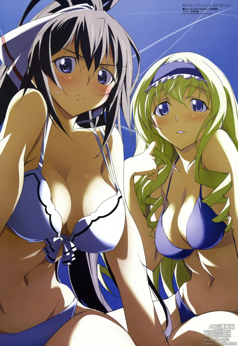 Page 1 of imageset infinite stratos