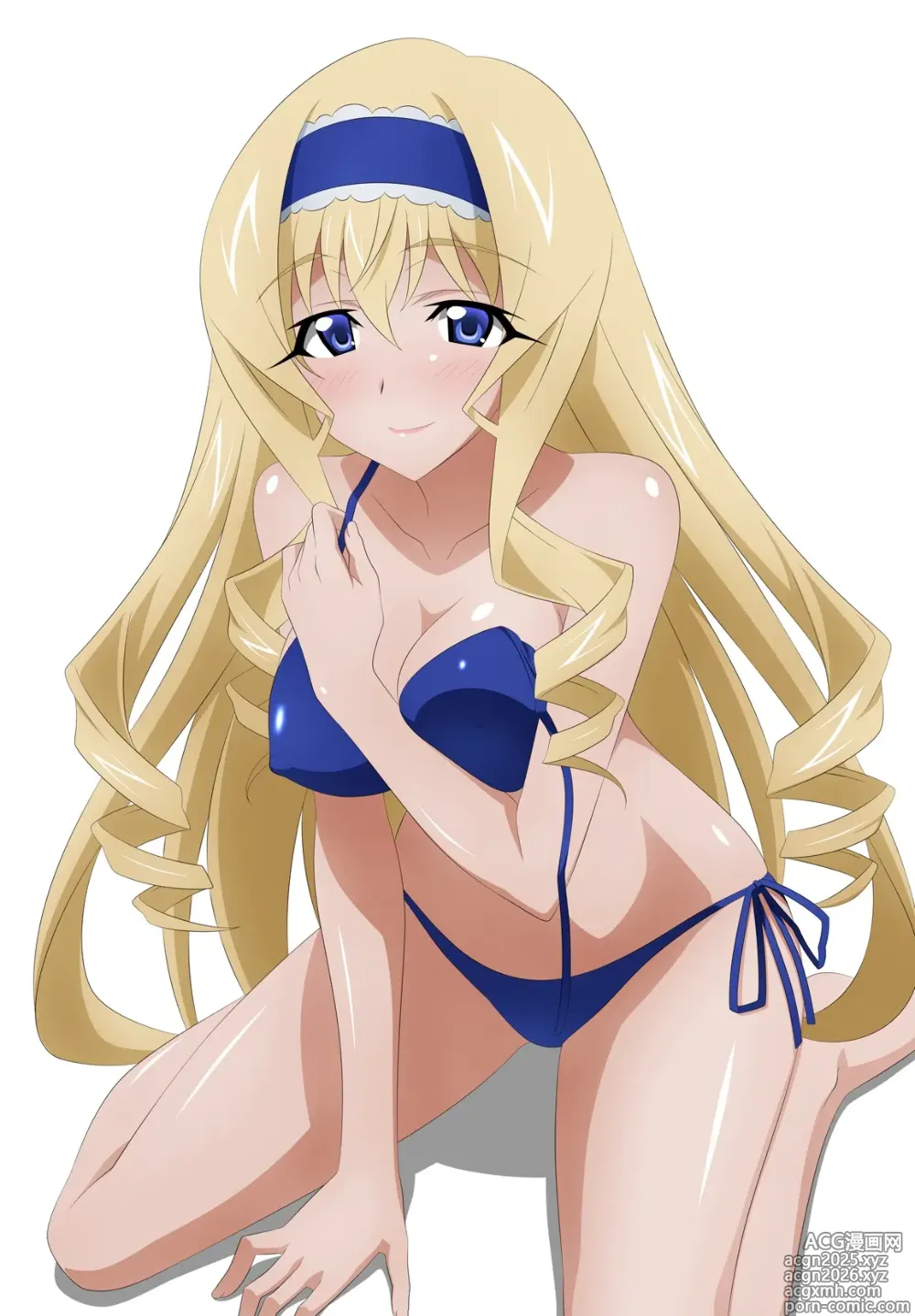 Page 11 of imageset infinite stratos