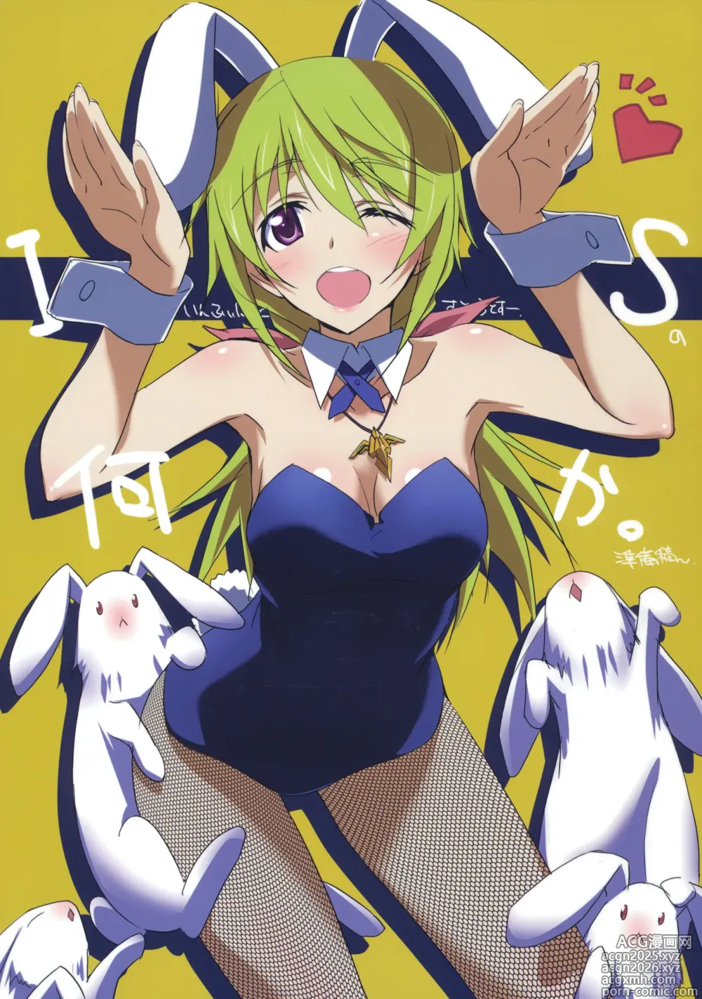 Page 12 of imageset infinite stratos