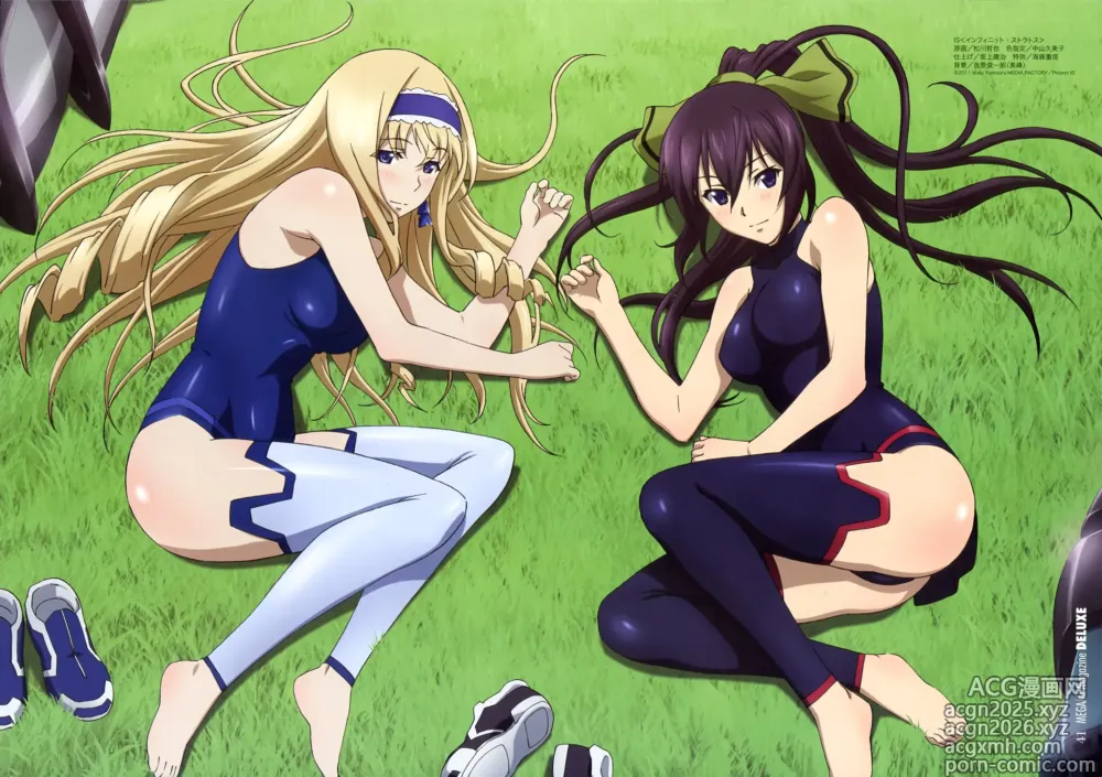 Page 13 of imageset infinite stratos