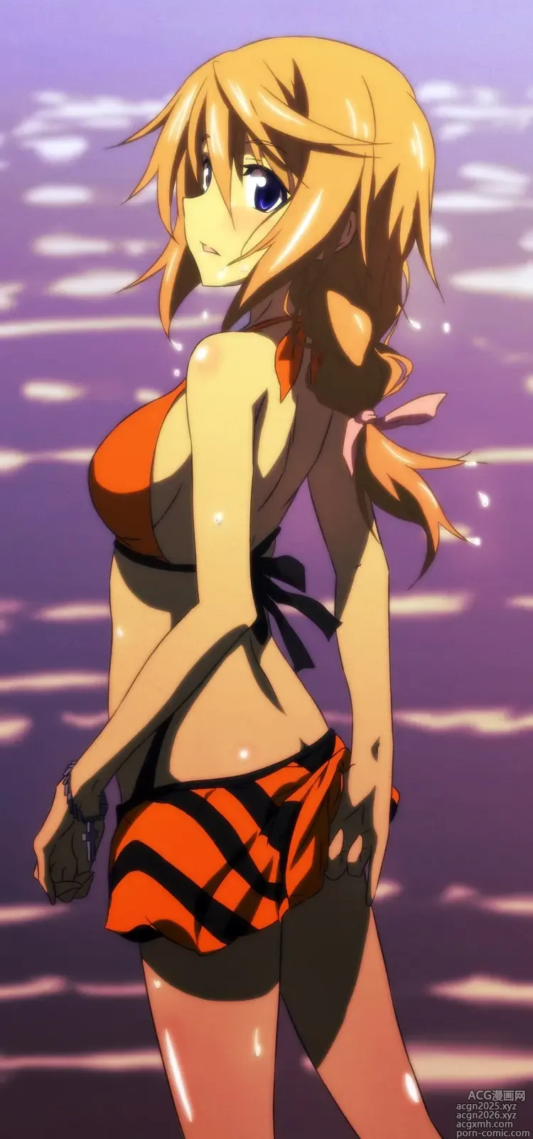 Page 17 of imageset infinite stratos