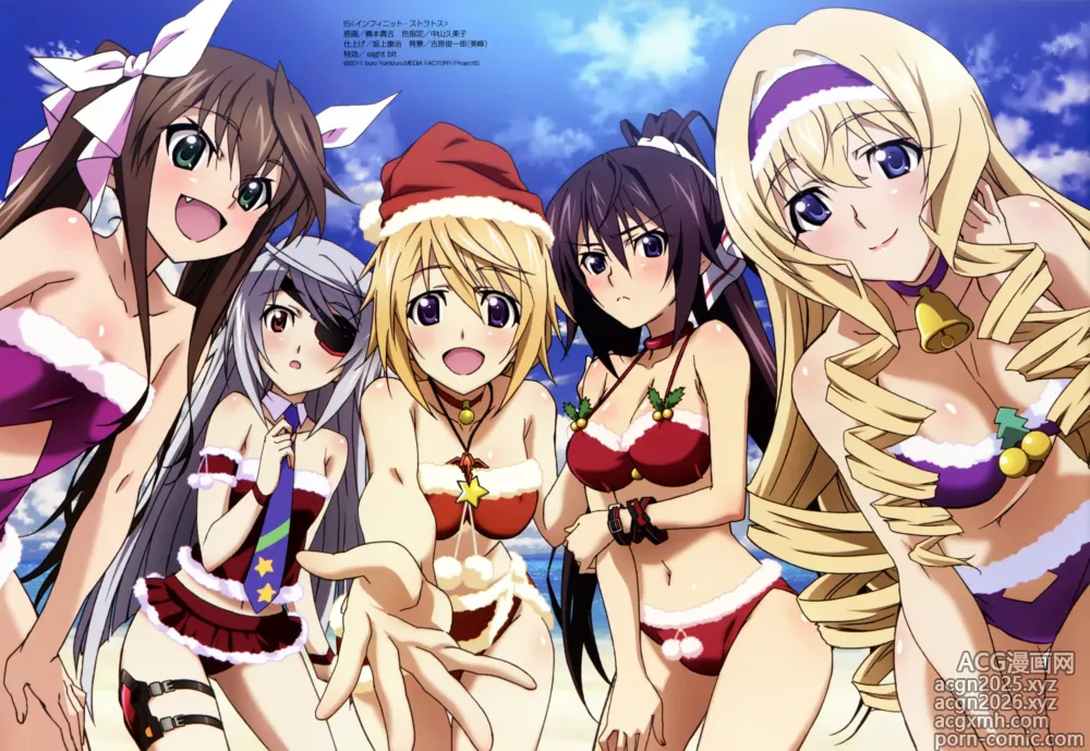 Page 23 of imageset infinite stratos