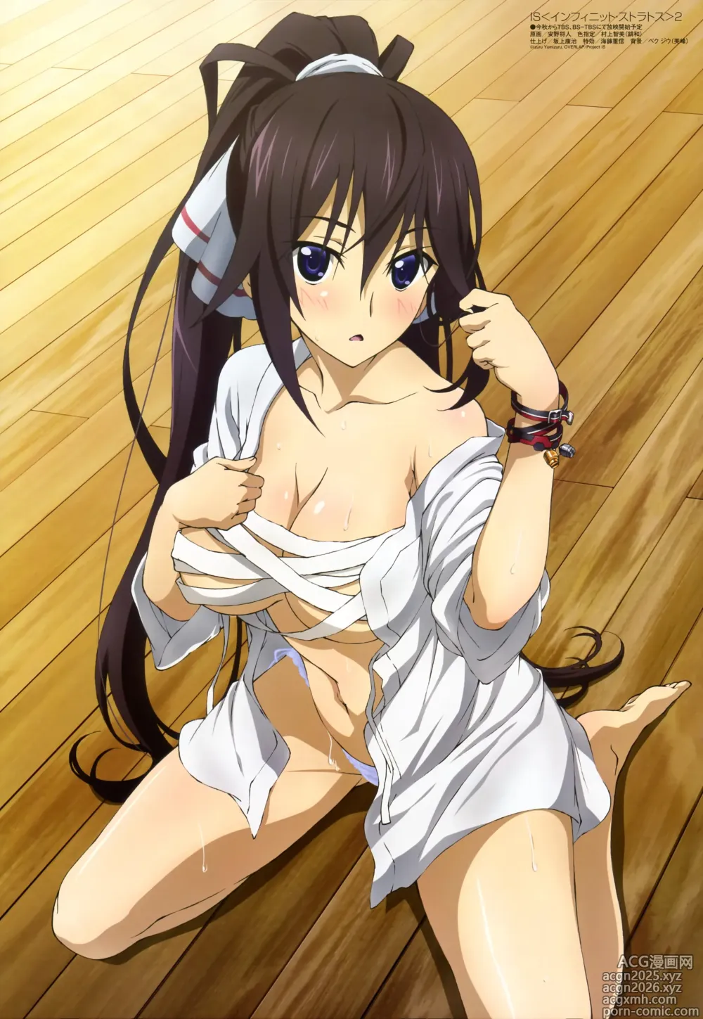 Page 26 of imageset infinite stratos