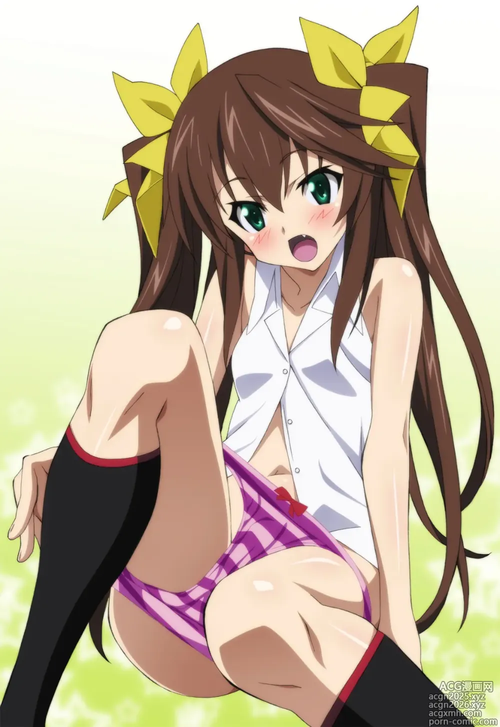 Page 6 of imageset infinite stratos