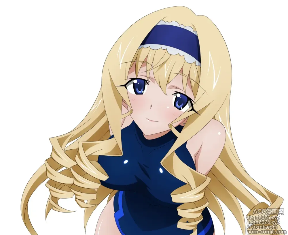 Page 9 of imageset infinite stratos