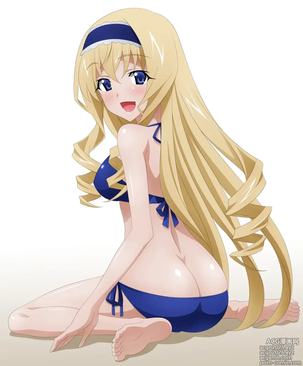 Page 10 of imageset infinite stratos