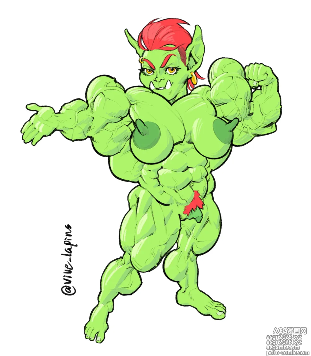 Page 485 of imageset ViveLapins