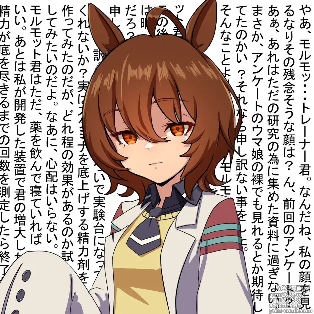 Page 6 of imageset Umamusume Collection