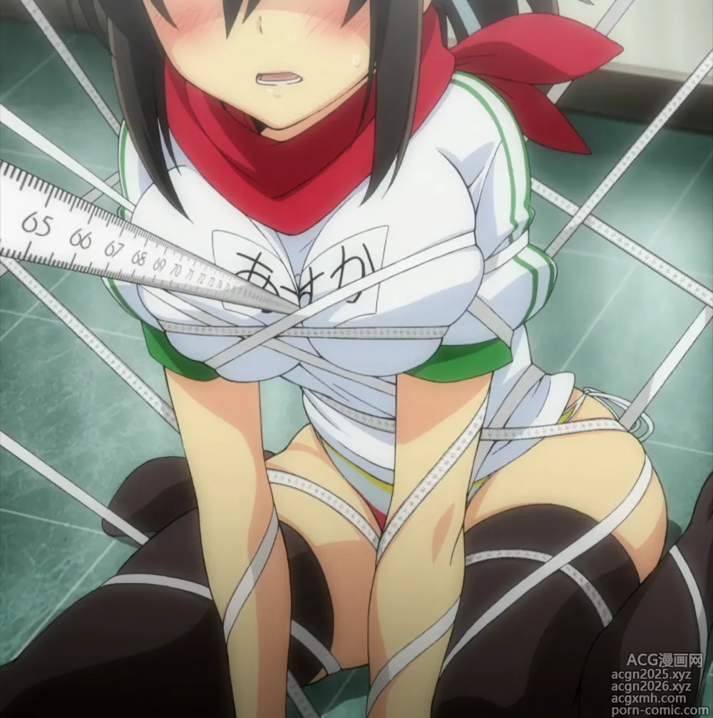 Page 15 of imageset Senran Kagura special