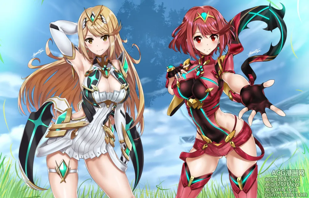 Page 5 of imageset xenoblade