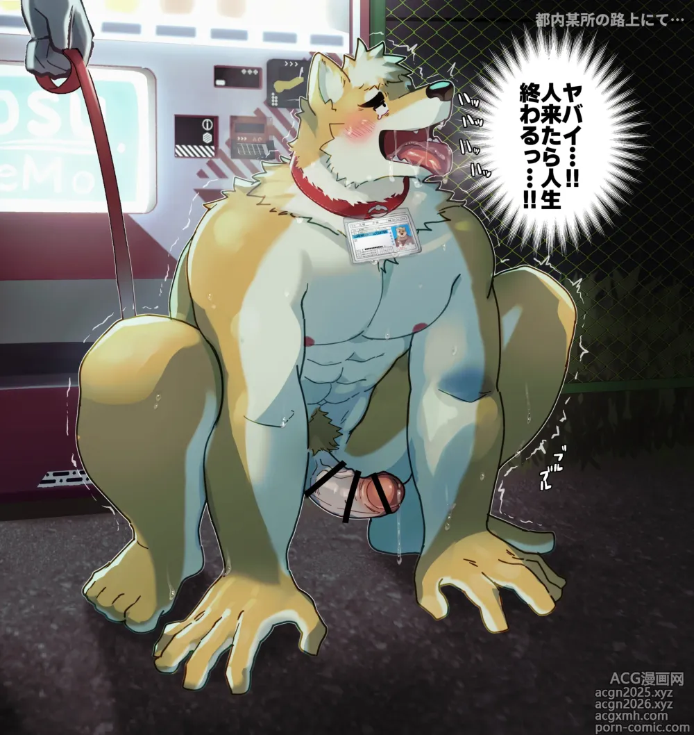 Page 1 of imageset 7575el - 野外露出で人生崩壊して興奮射精するガチムチわんこ差分絵4枚