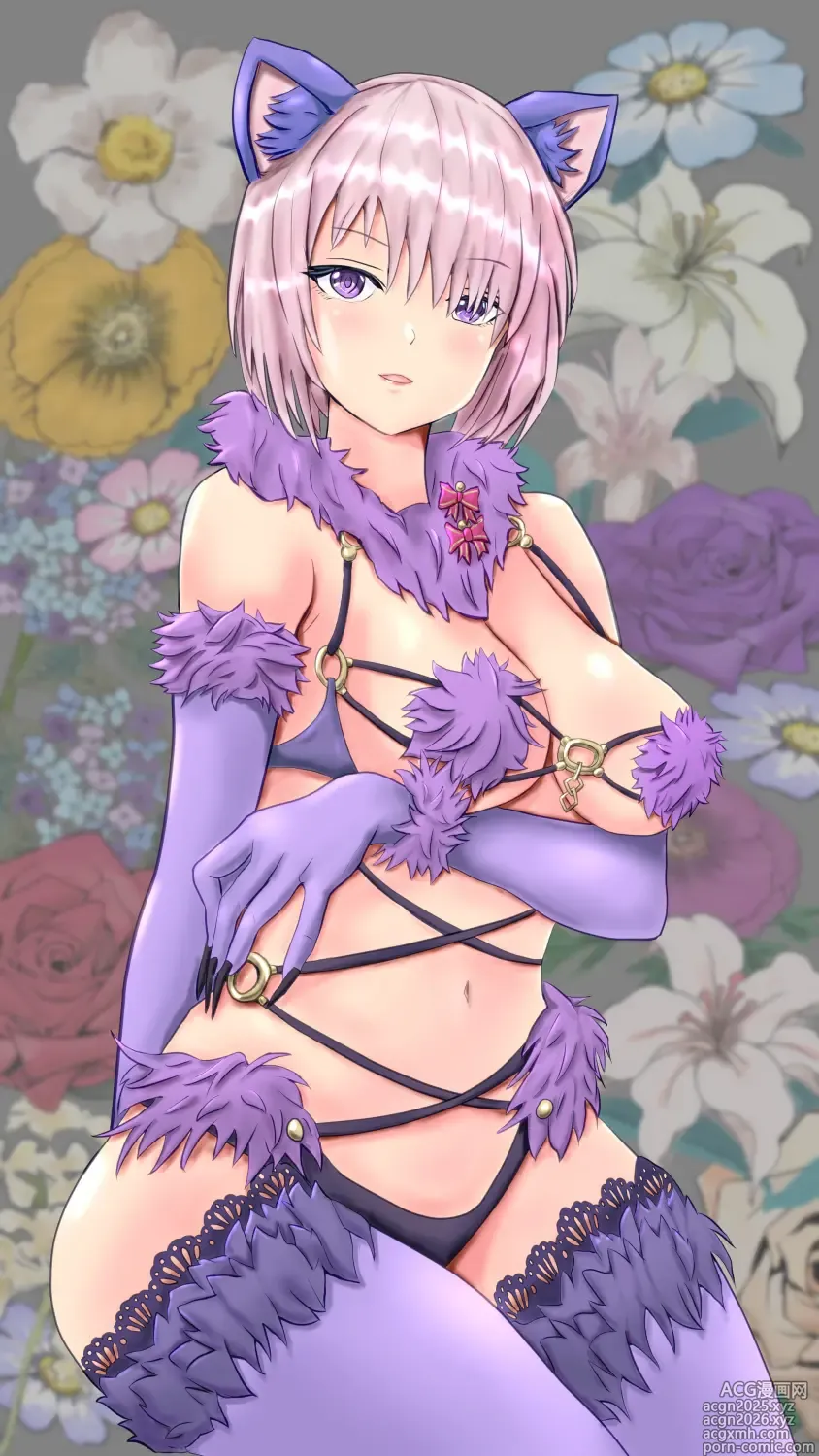 Page 15 of imageset 猫と社長は仲良