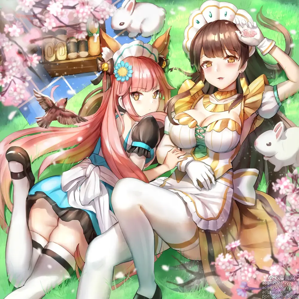 Page 295 of imageset メアリー