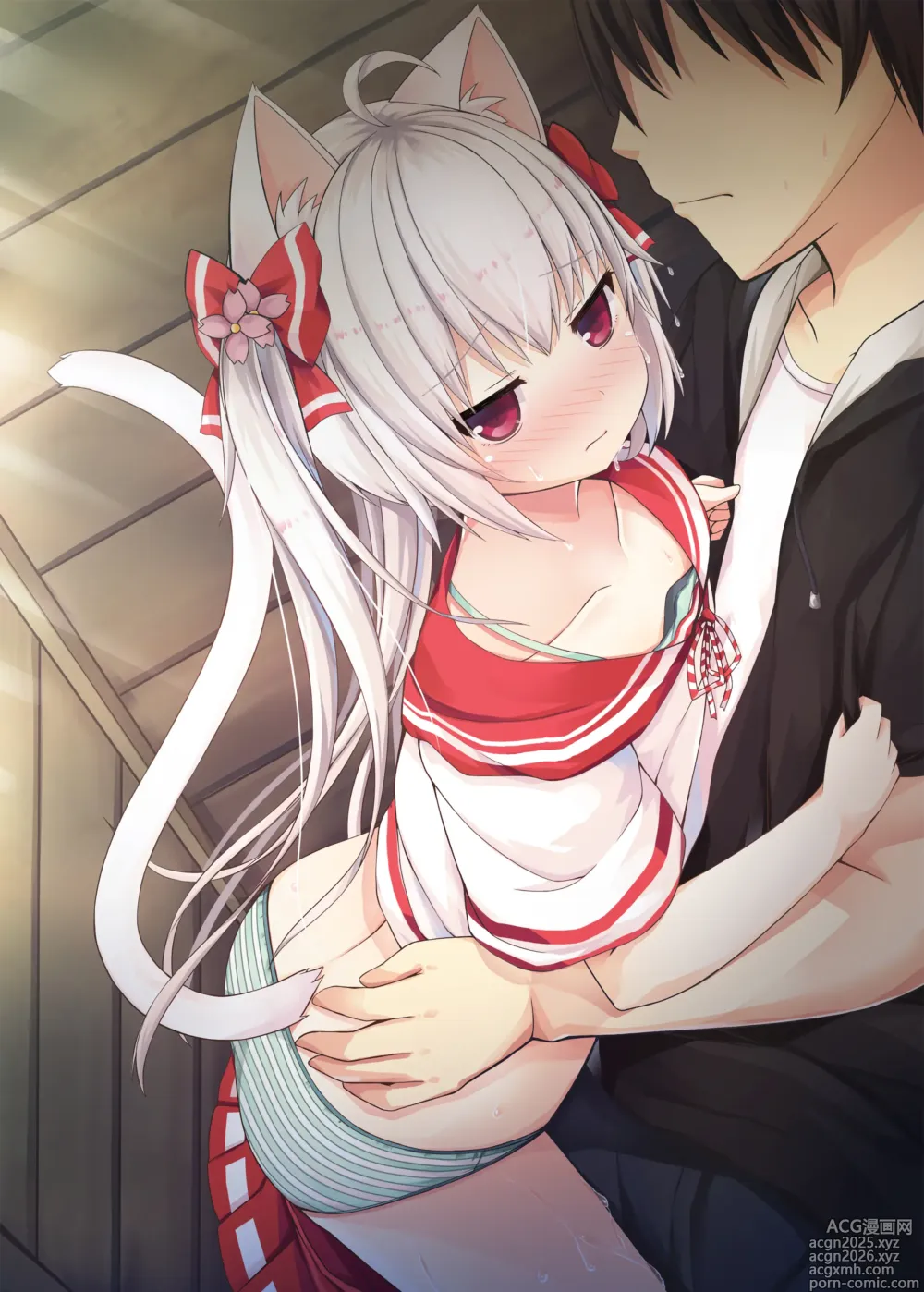 Page 298 of imageset 桜庭光 shironeko