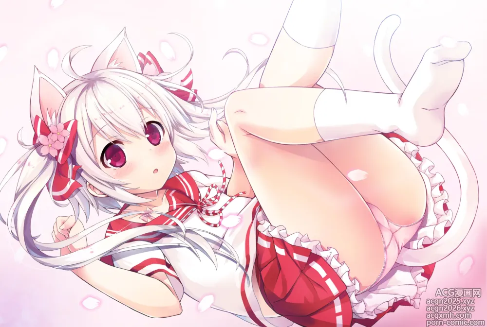 Page 305 of imageset 桜庭光 shironeko