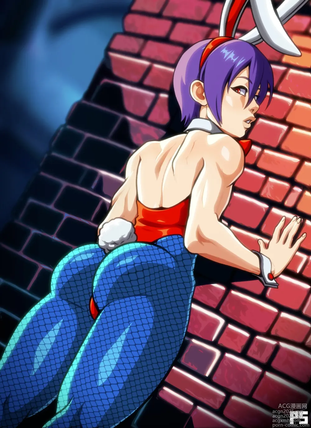 Page 10 of imageset Lilith Aensland Ass Collection