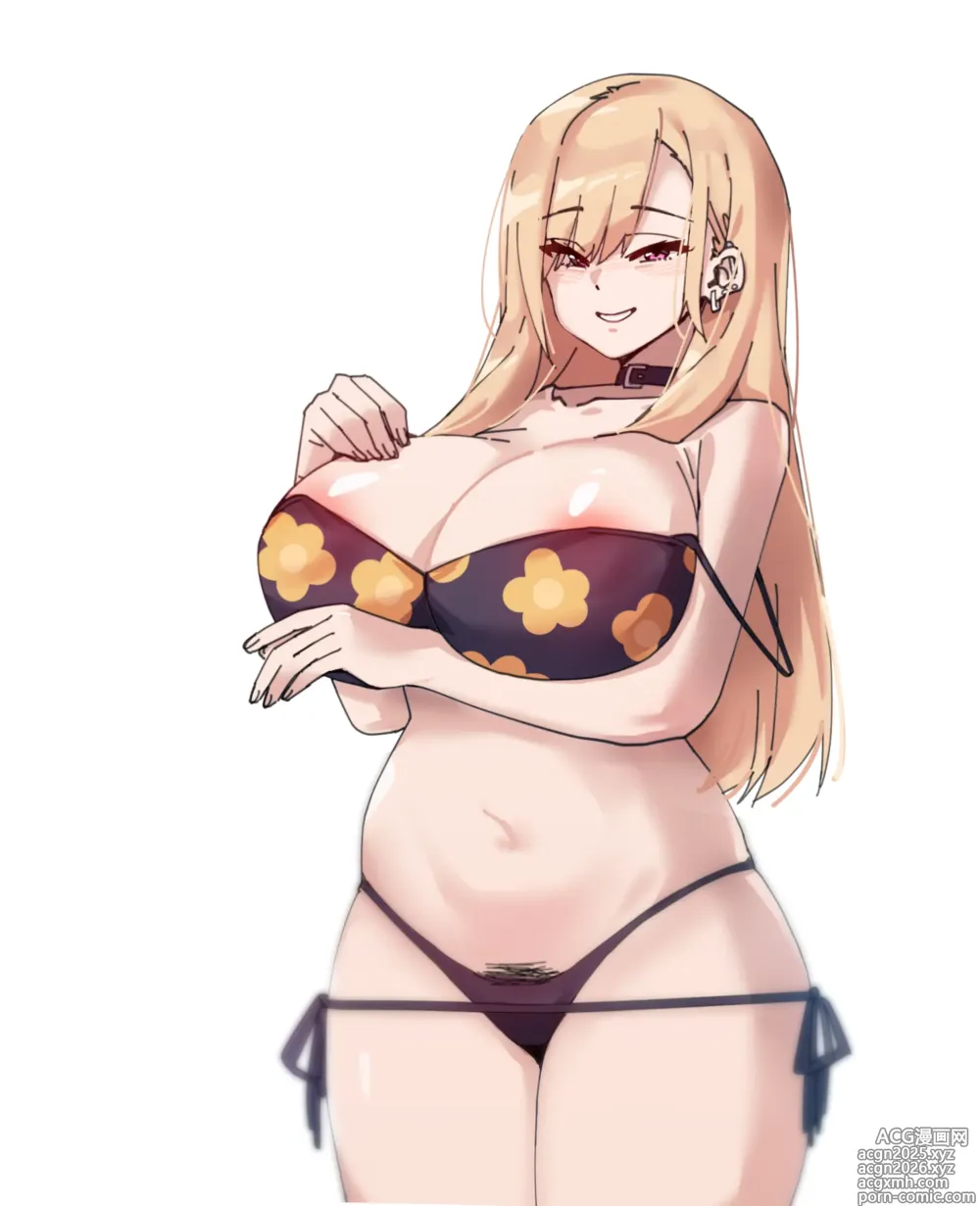 Page 3 of imageset CHURURU
