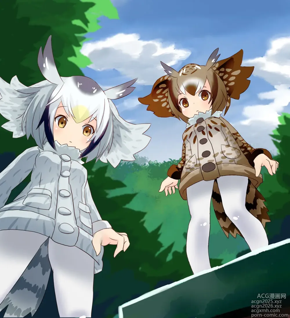 Page 17 of imageset ほうしるり