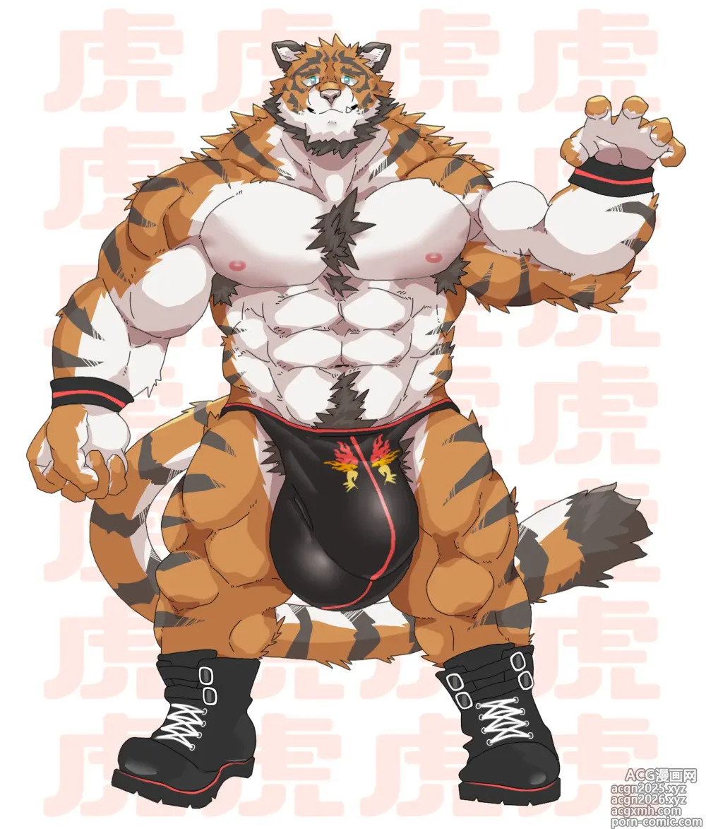 Page 13 of imageset 吉