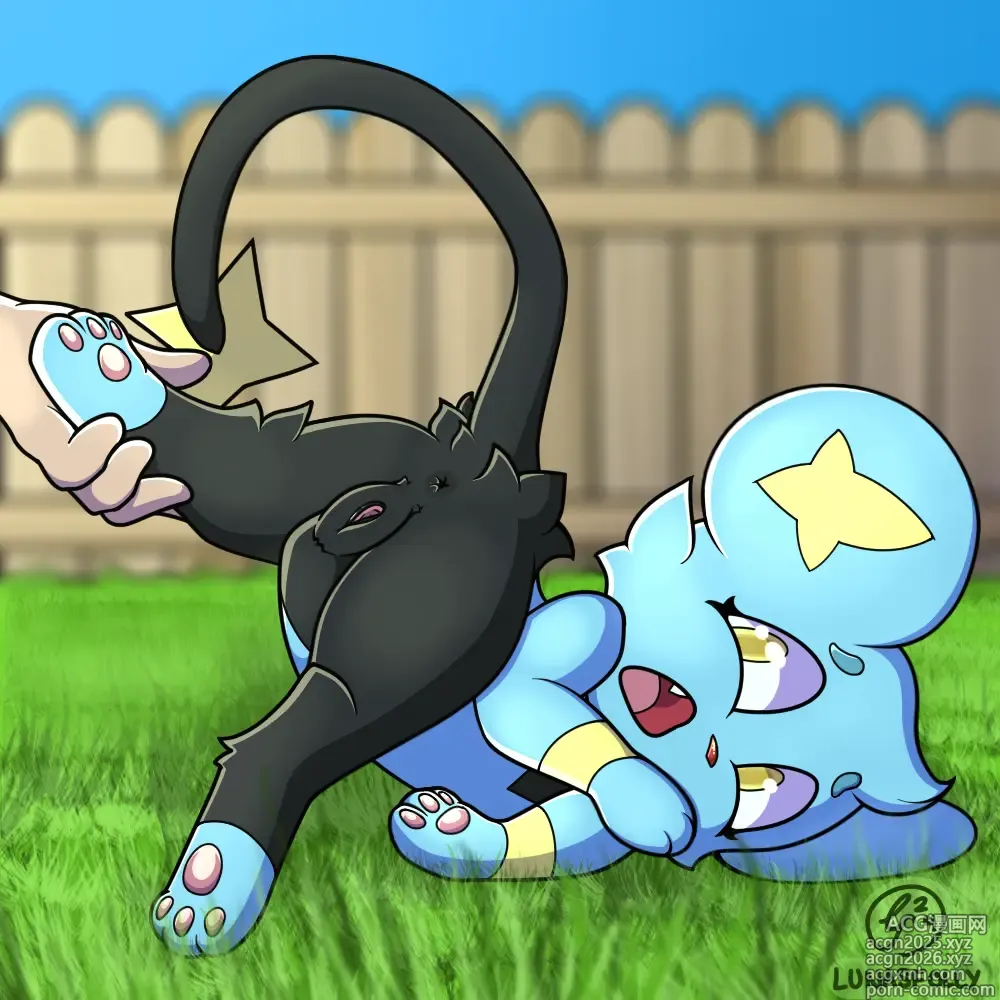 Page 1 of imageset shinx