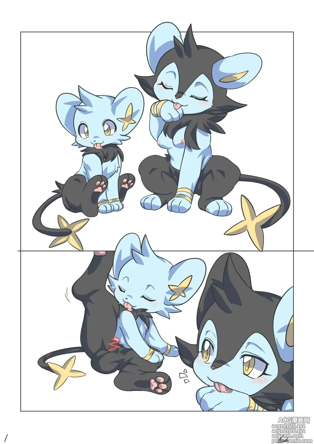 Page 15 of imageset shinx