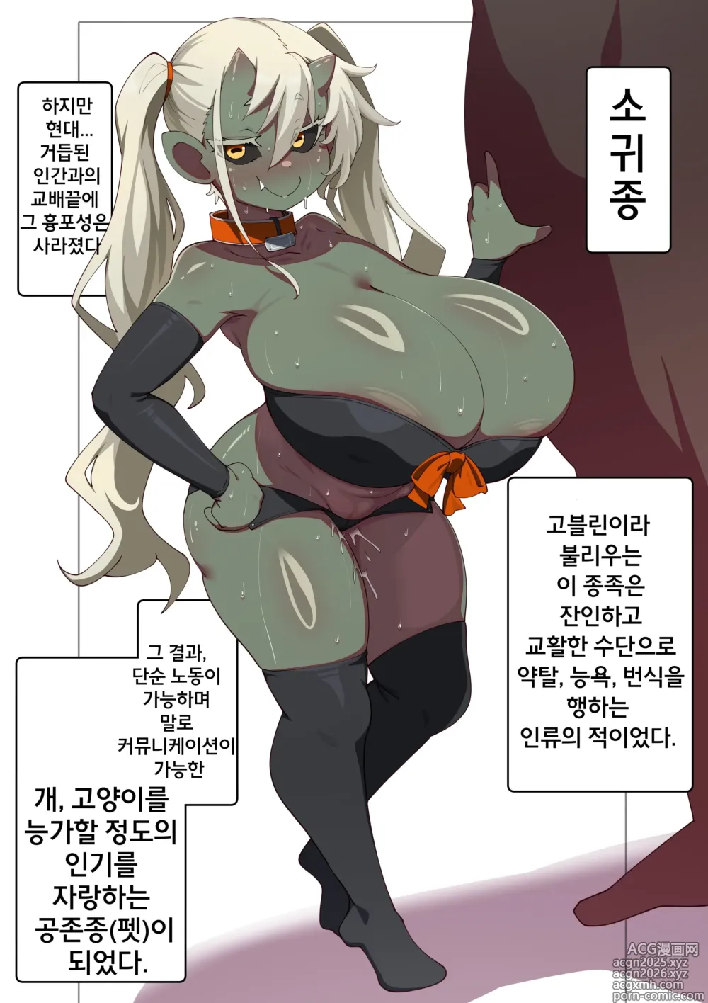 Page 1 of imageset 현대 고블린에 대하여