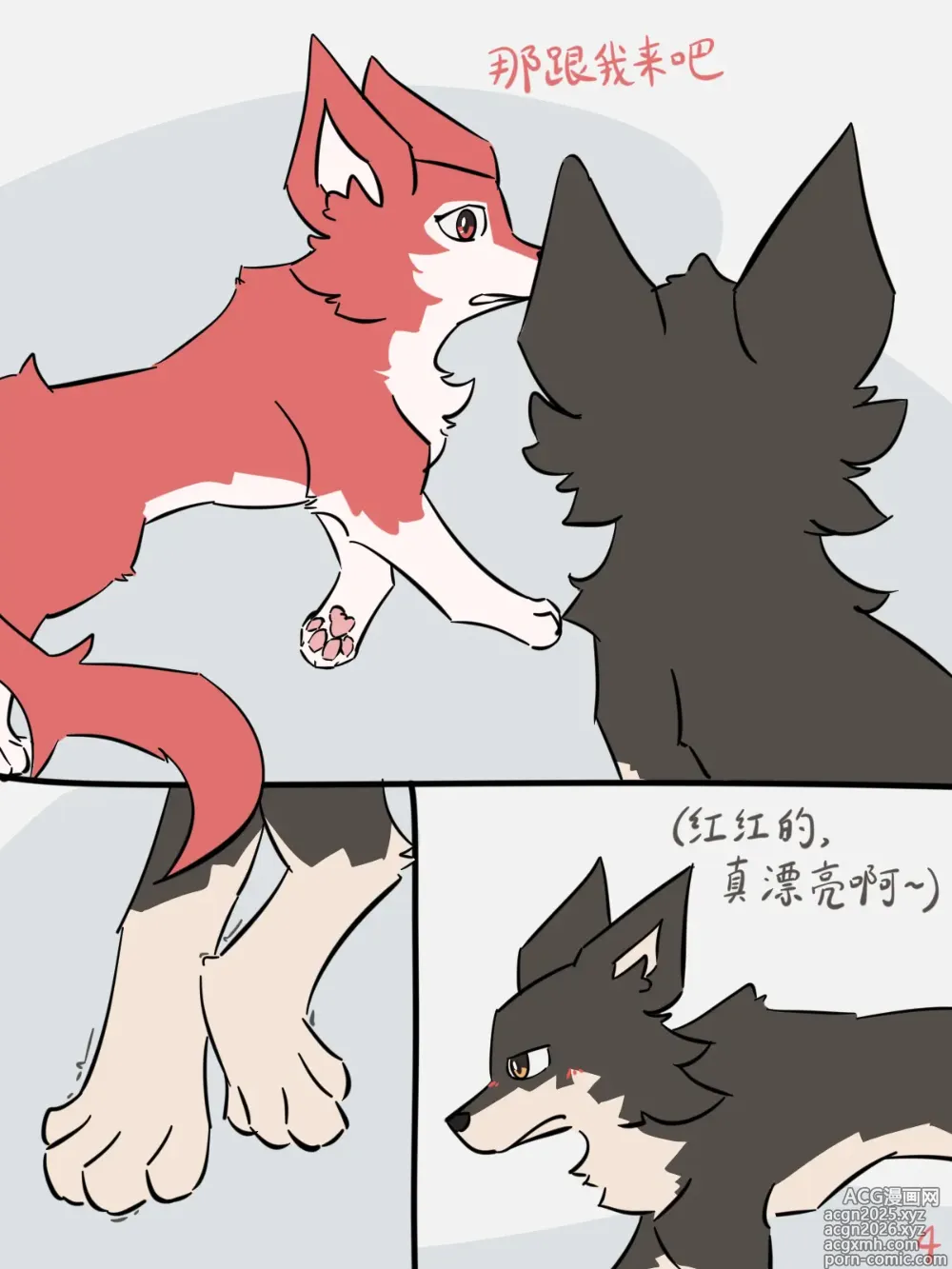 Page 6 of doujinshi 犬世界 红梅窃喜 Dogs World