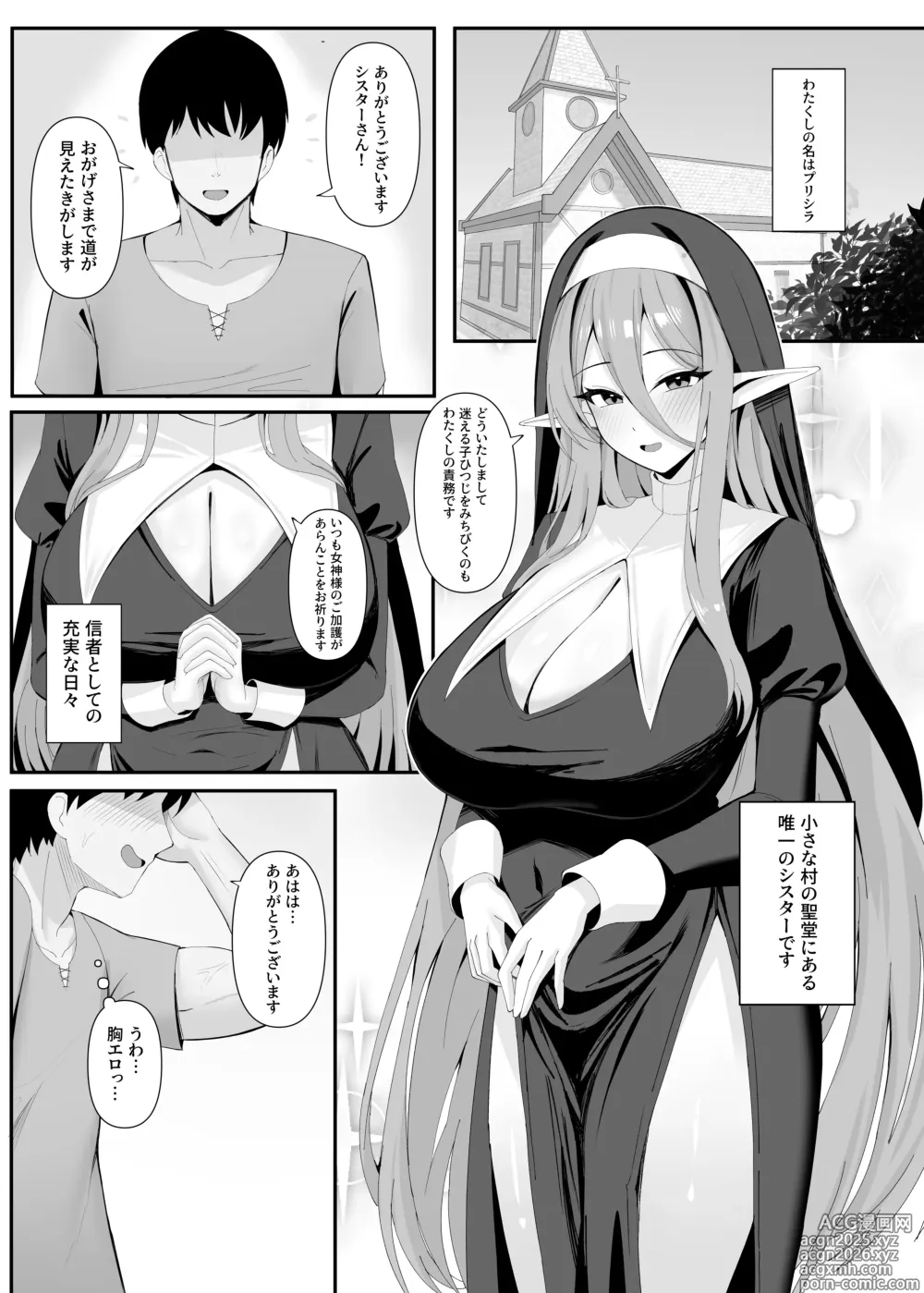 Page 2 of doujinshi Hatsujouki ga Kita Elf no Sister-san