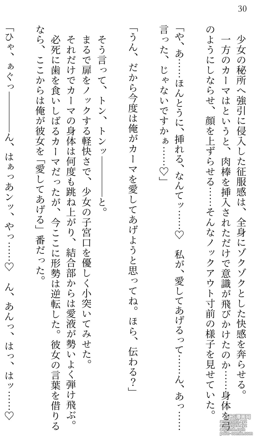 Page 29 of doujinshi Fate/Loli Order Vol.04