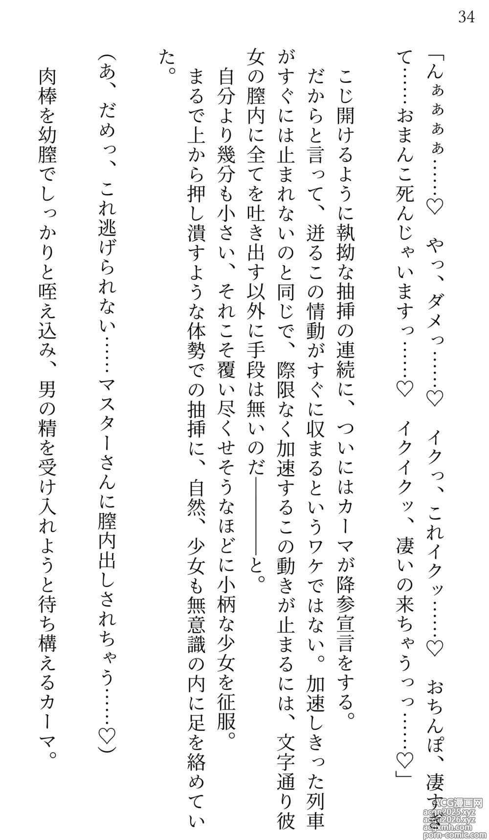 Page 33 of doujinshi Fate/Loli Order Vol.04