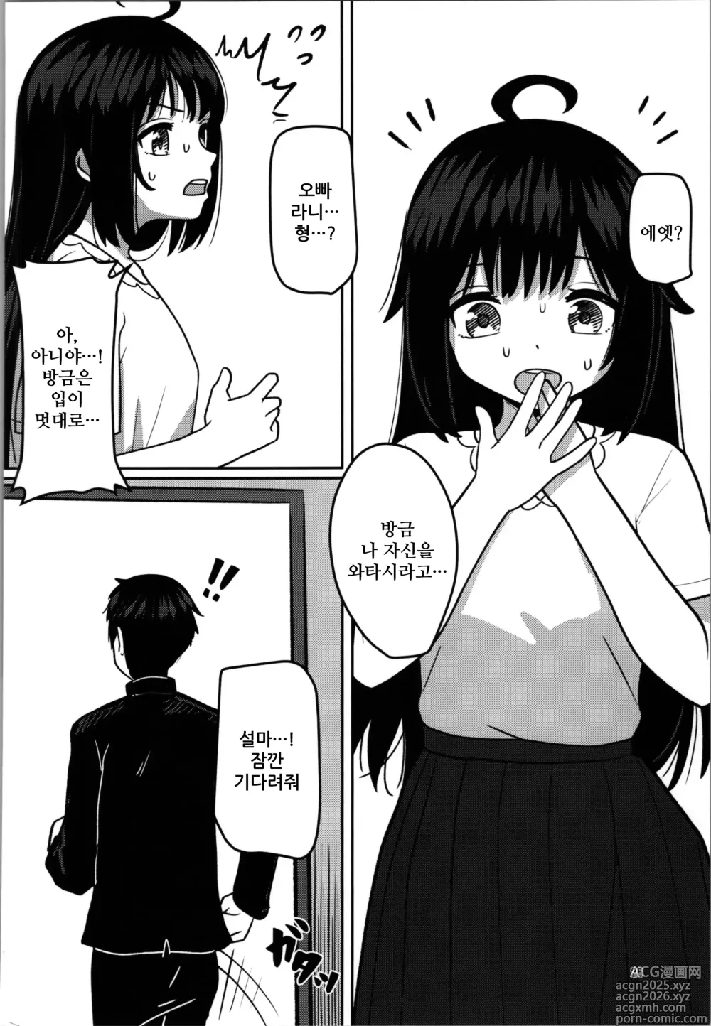 Page 26 of doujinshi 여동생 프로그램