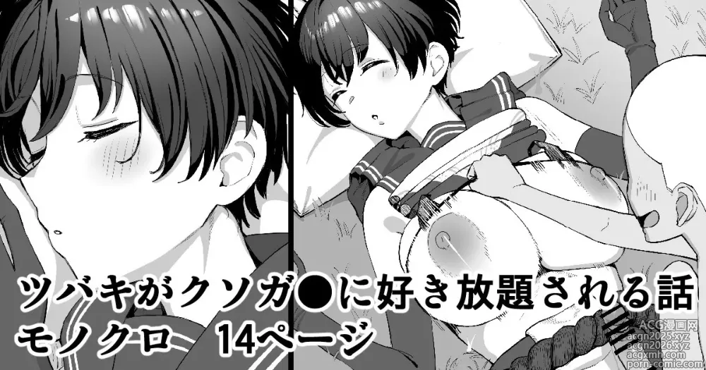 Page 1 of doujinshi Tsubaki ga Kusogaki ni Suki Houdai sareru Hanashi
