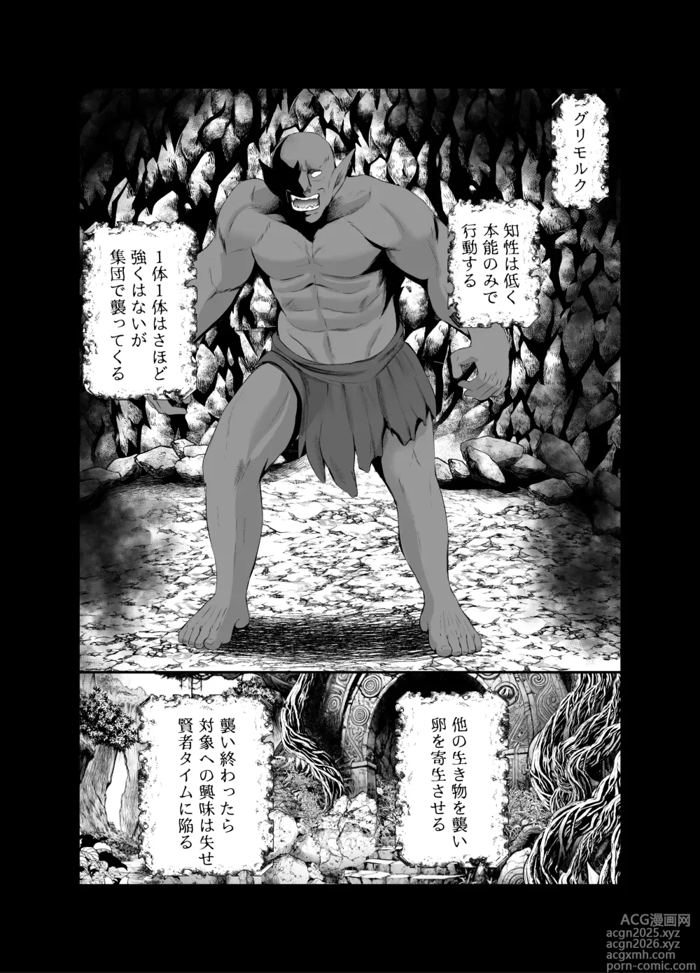 Page 5 of doujinshi Ravished and Corrupted by Monsters in a Magic Love Spring～盗賊編～