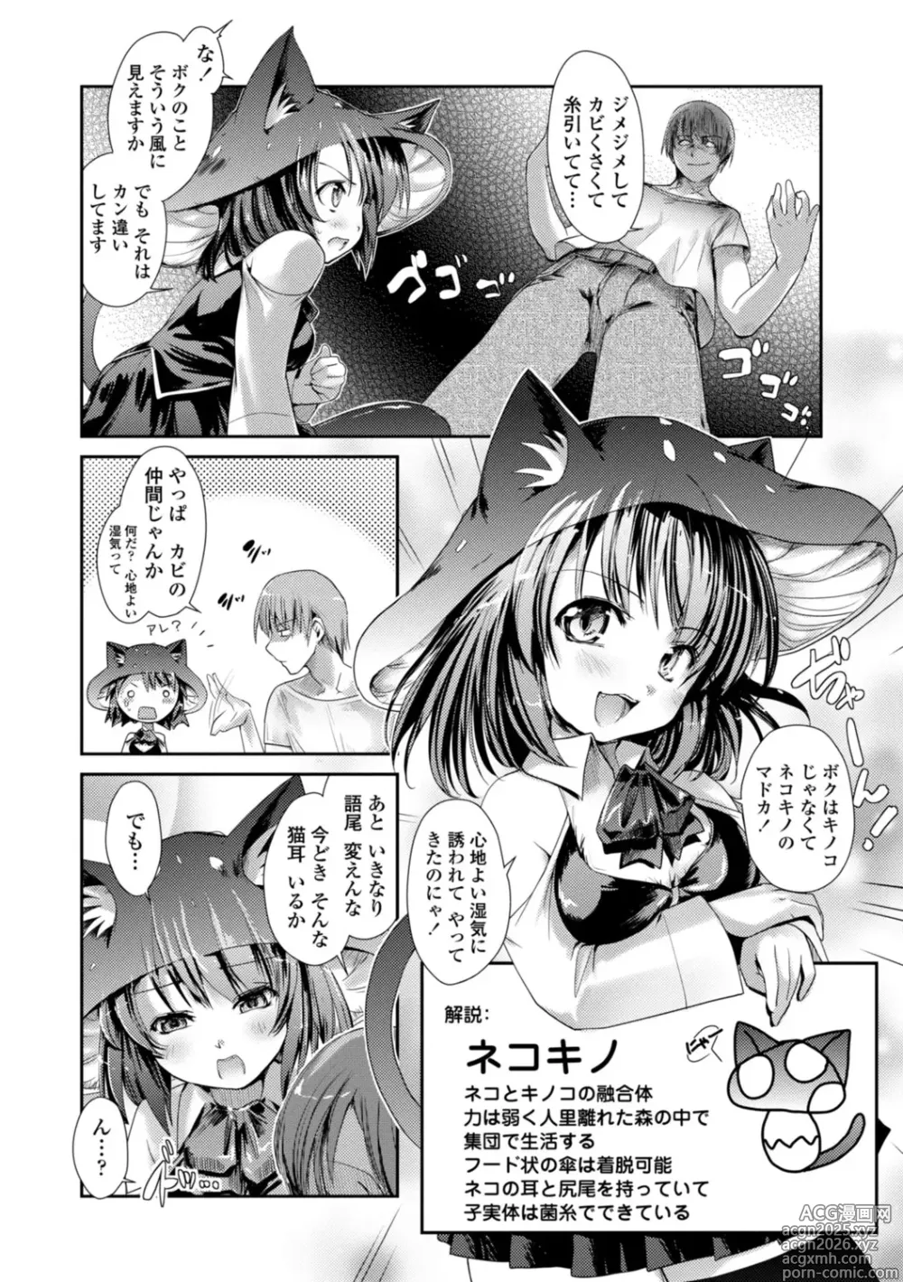 Page 12 of manga Nekokino to Ame no Machi - Cat Mushroon Girl And Town of Rain
