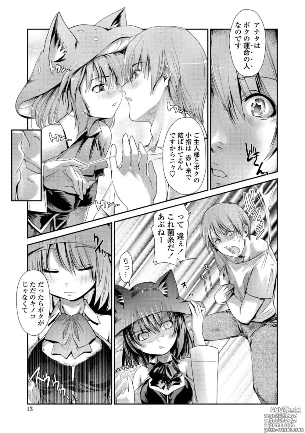 Page 13 of manga Nekokino to Ame no Machi - Cat Mushroon Girl And Town of Rain