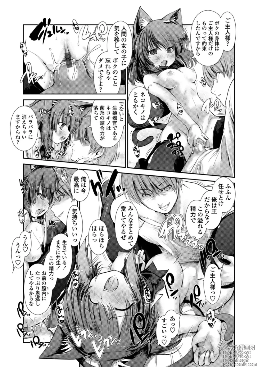 Page 123 of manga Nekokino to Ame no Machi - Cat Mushroon Girl And Town of Rain