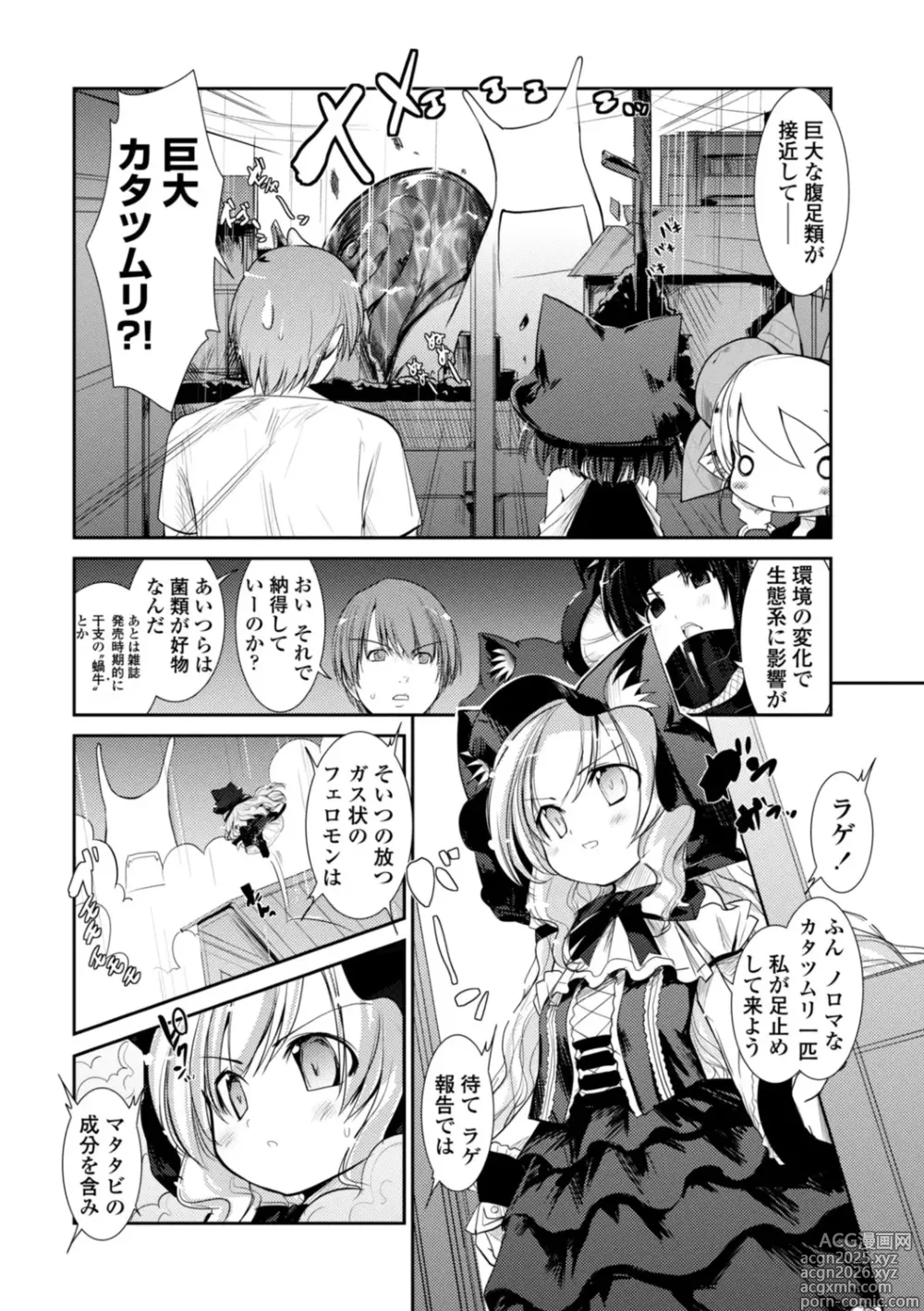 Page 138 of manga Nekokino to Ame no Machi - Cat Mushroon Girl And Town of Rain