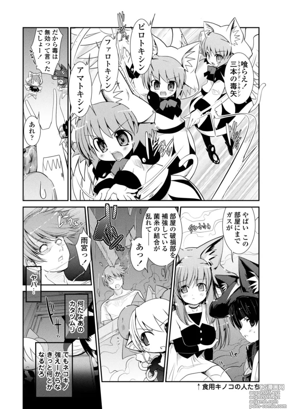 Page 142 of manga Nekokino to Ame no Machi - Cat Mushroon Girl And Town of Rain