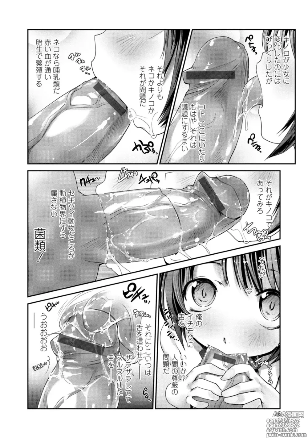 Page 16 of manga Nekokino to Ame no Machi - Cat Mushroon Girl And Town of Rain