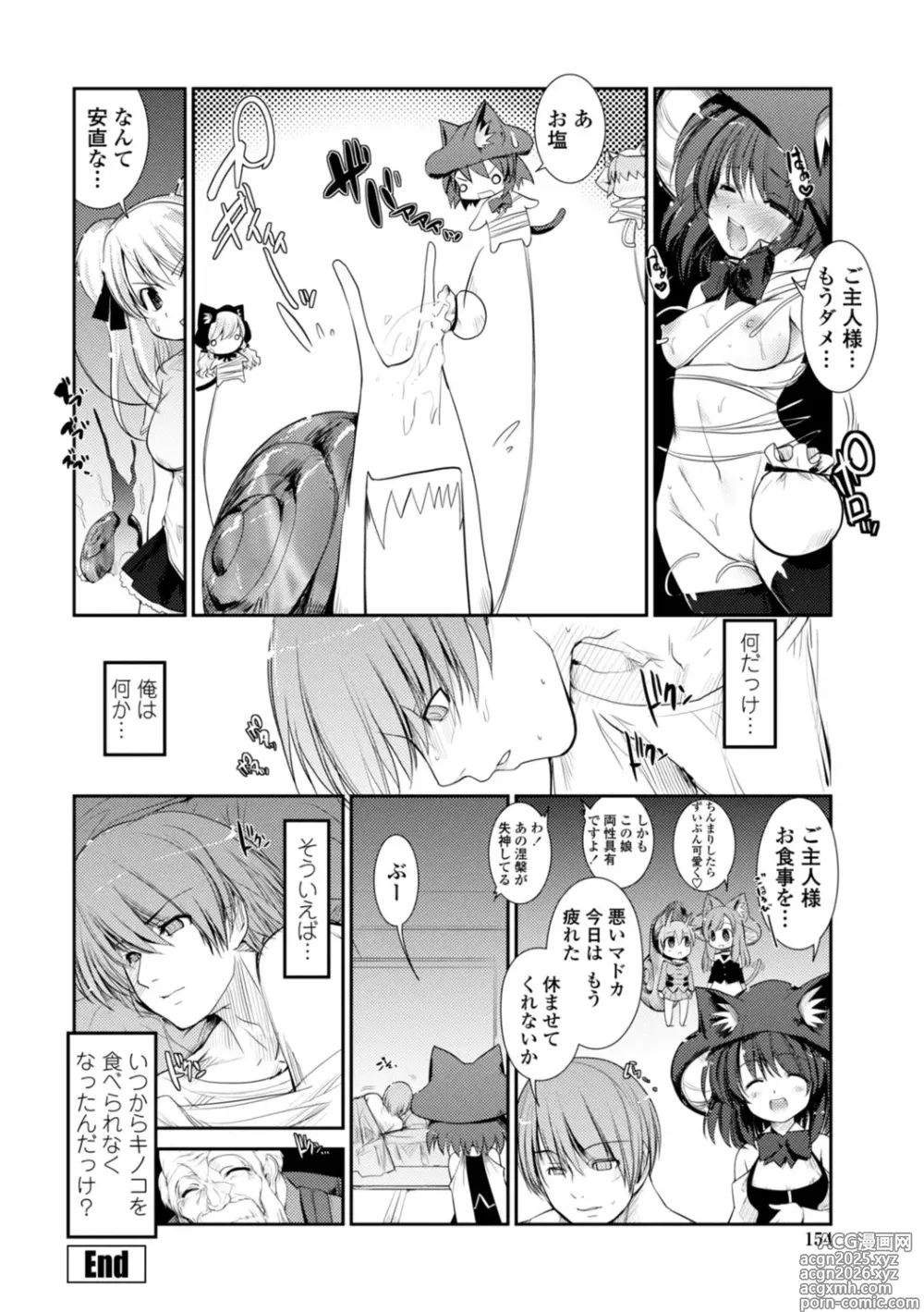 Page 154 of manga Nekokino to Ame no Machi - Cat Mushroon Girl And Town of Rain