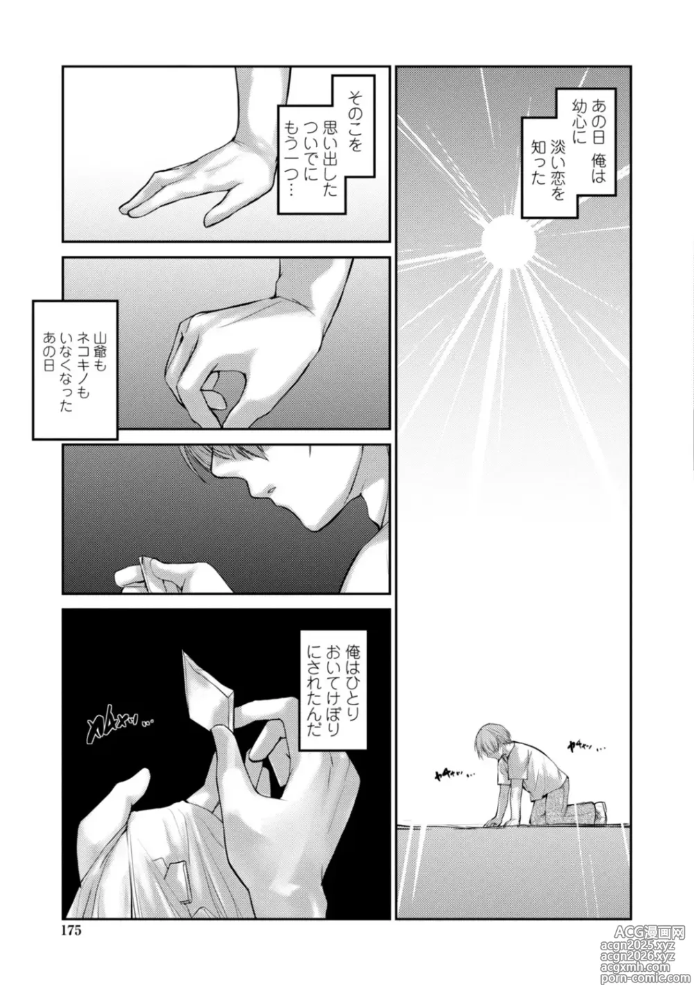 Page 175 of manga Nekokino to Ame no Machi - Cat Mushroon Girl And Town of Rain