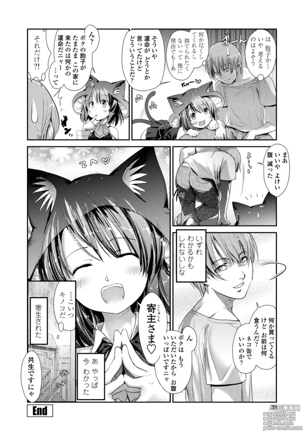 Page 28 of manga Nekokino to Ame no Machi - Cat Mushroon Girl And Town of Rain