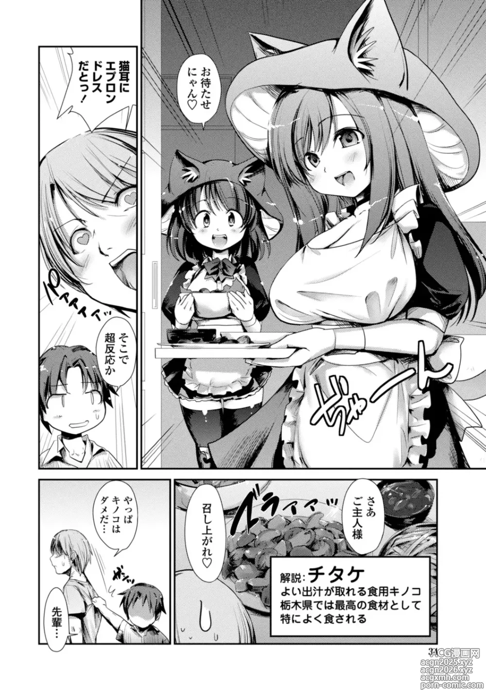 Page 34 of manga Nekokino to Ame no Machi - Cat Mushroon Girl And Town of Rain