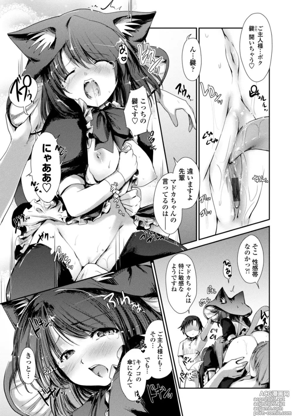 Page 43 of manga Nekokino to Ame no Machi - Cat Mushroon Girl And Town of Rain