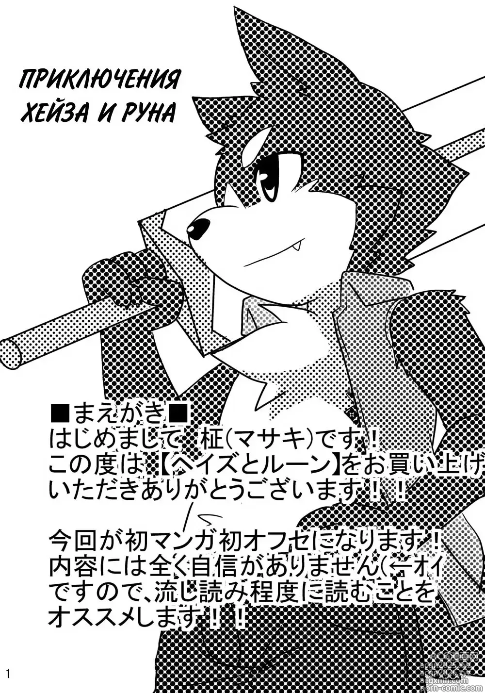 Page 2 of doujinshi Heizu to Rune