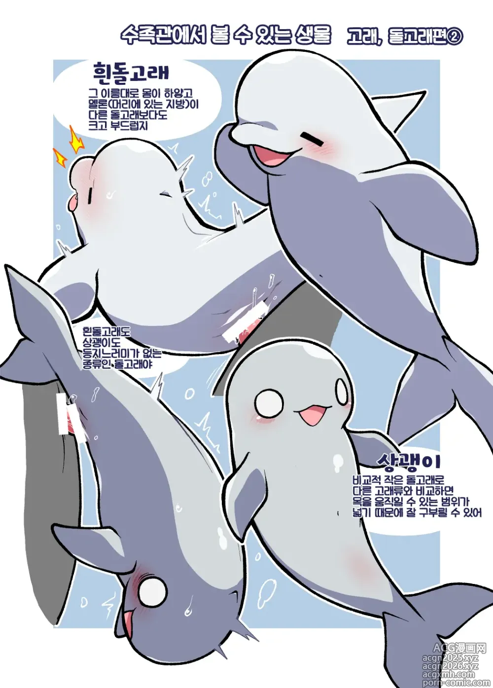 Page 11 of doujinshi 두근두근 수족간