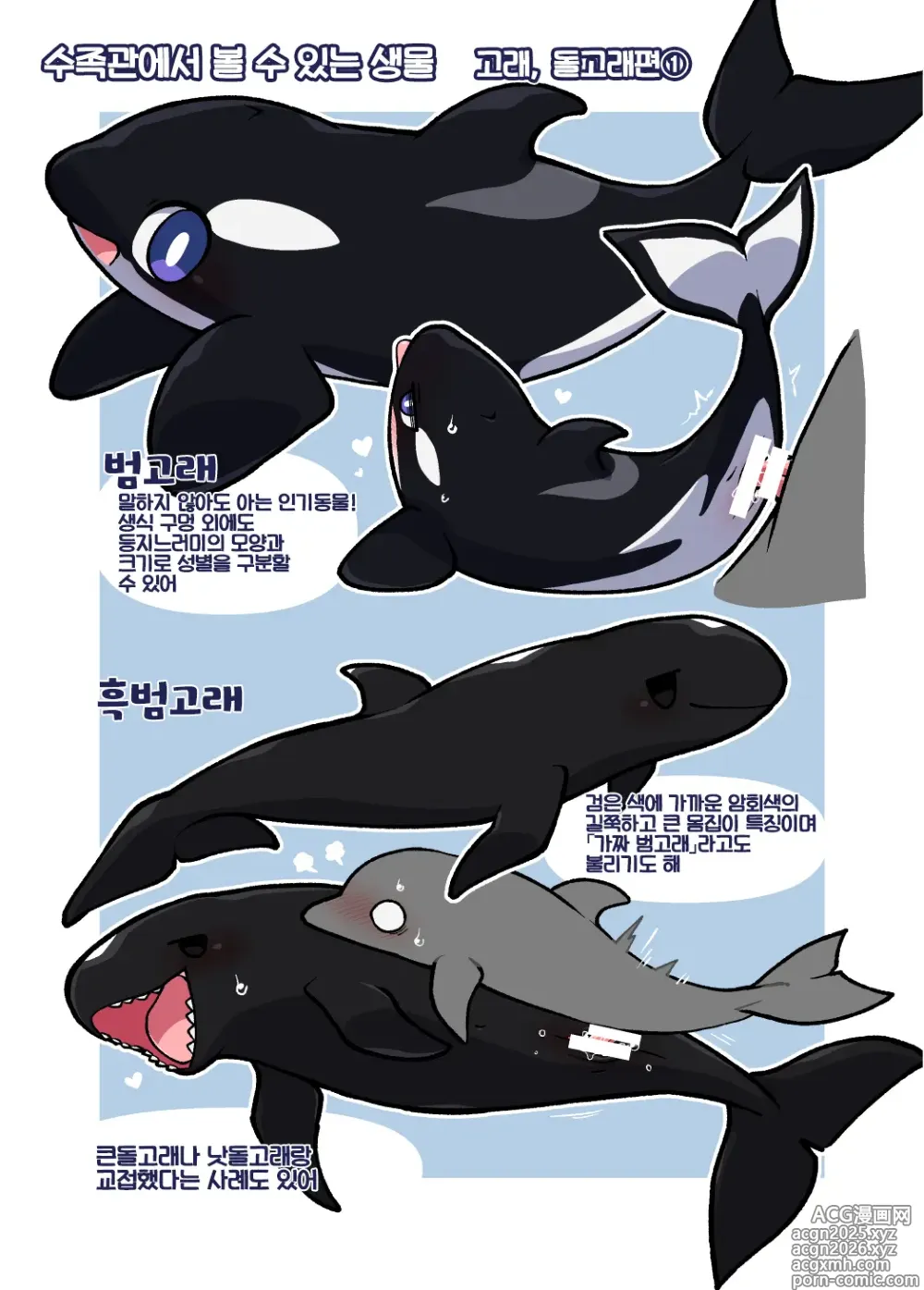 Page 10 of doujinshi 두근두근 수족간
