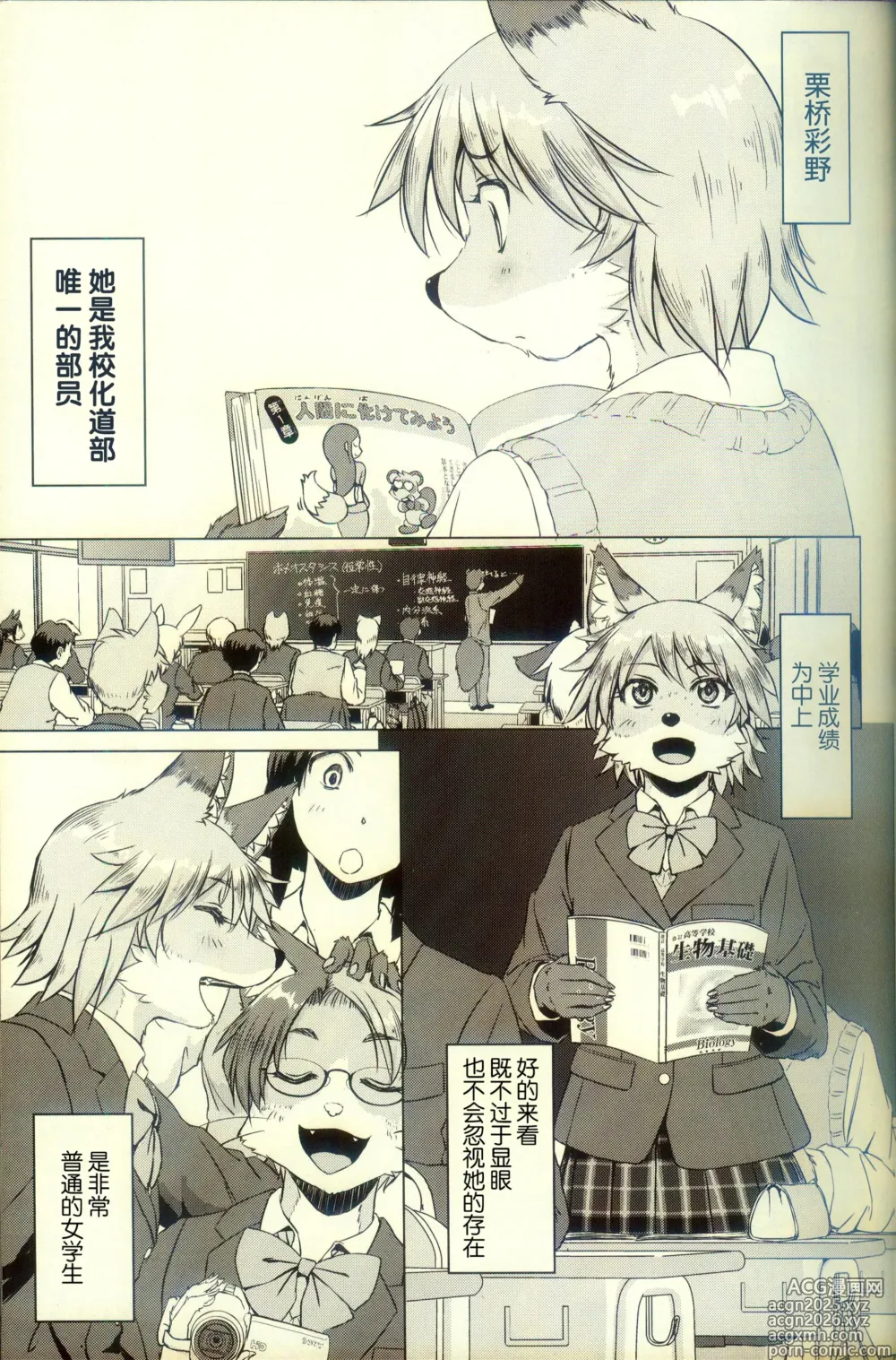 Page 7 of doujinshi 化かしたいほど恋してる